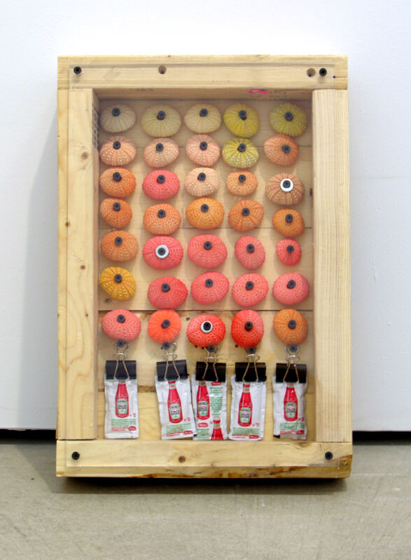Phoebe Washburn, ‘Condiment Box For Hippies Eating Burgers By The Sea (Gatorade Not Included)’, 2008, Sculpture, Wood, plexiglass, sea urchin shells, ketchup, clips, Feuer/Mesler