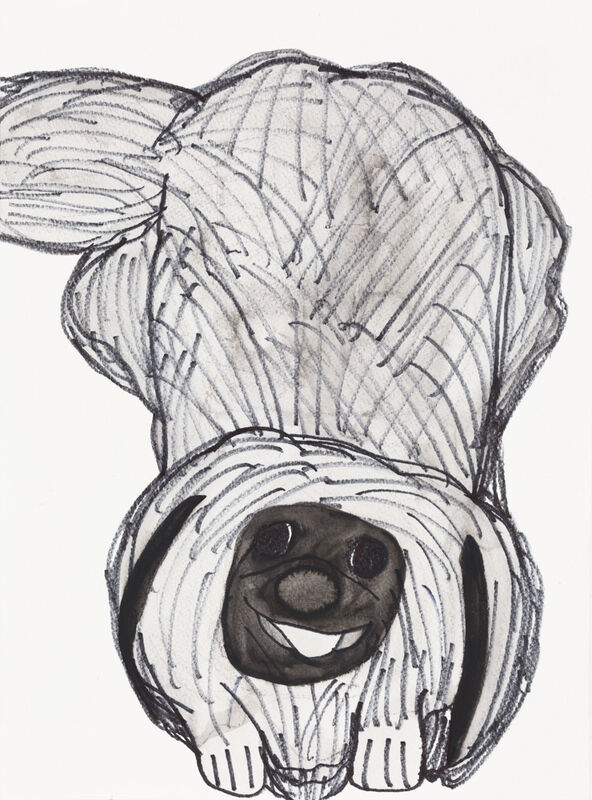 Kevin Chu, ‘Pekingese’, 2012, Drawing, Collage or other Work on Paper, Marker and watercolor on paper, Creativity Explored