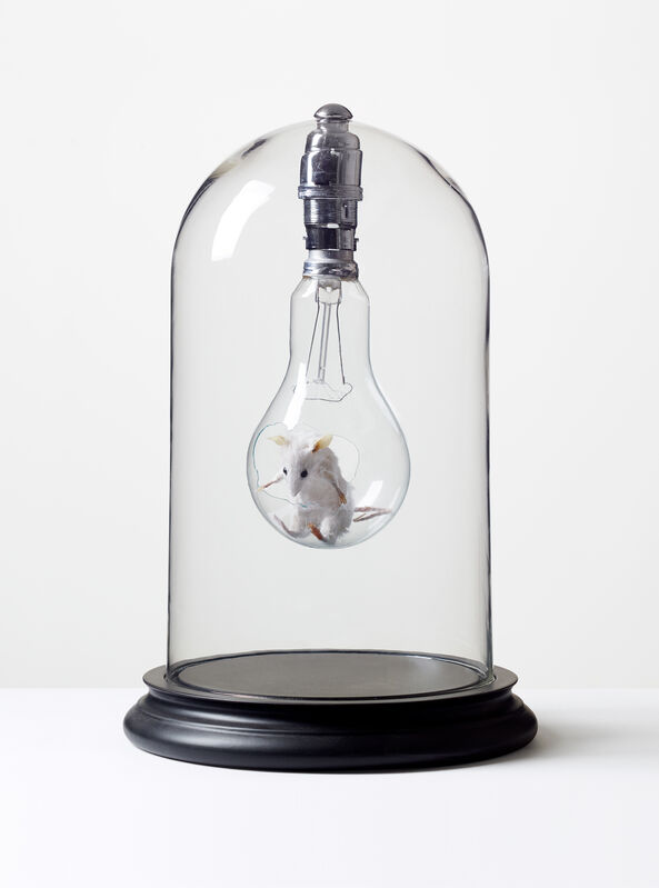 Nancy Fouts, ‘Mouse in Light Bulb’, 2010, Sculpture, Taxidermy mouse, mixed media, Hang-Up Gallery