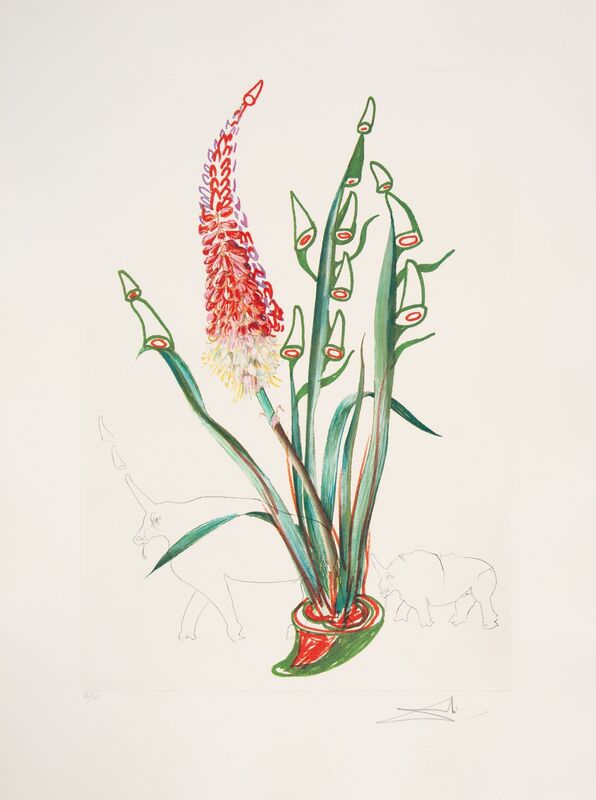 Salvador Dalí, ‘Stock Rhinos, from Florals’, 1972, Print, Lithograph in colors on heavy Arches paper, Heritage Auctions