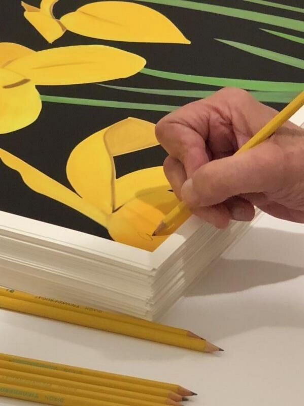 Alex Katz, ‘Yellow Flags 2’, 2018, Print, Paper, Frank Fluegel Gallery