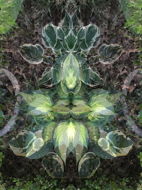 Jeanne Wilkinson, ‘Spring Symmetry ’, 2019, Photography, Digital Collage, bG Gallery