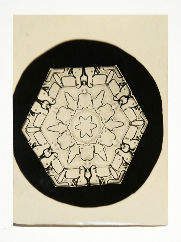 Wilson A. Bentley, ‘Snowflake’, 1888-1927, Photography, Gold-chloride toned microphotographs, Richard Levy Gallery