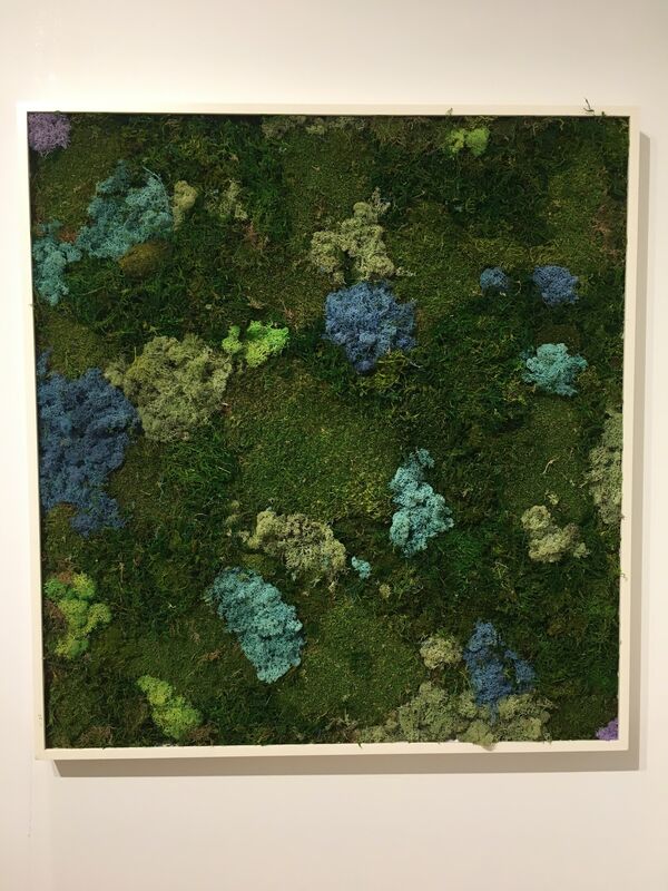 Marie Laforey, ‘Viridi #20’, 2018, Drawing, Collage or other Work on Paper, Preserved moss in frame, Muriel Guépin Gallery