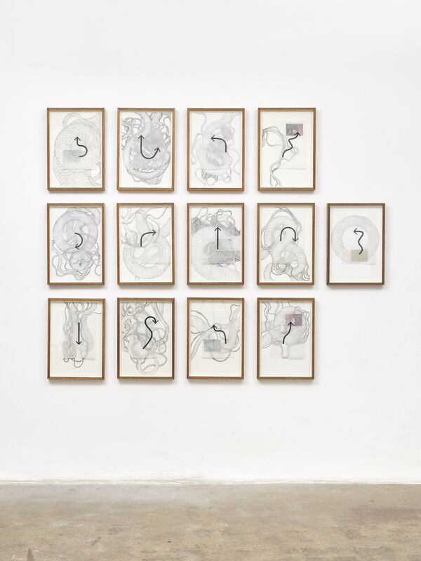 Nolan Oswald Dennis, ‘habeas viscus (femenine)’, 2019, Drawing, Collage or other Work on Paper, Ink, collage and annotations on paper (Set of 13 drawings), Goodman Gallery