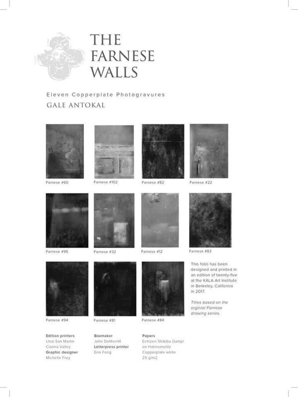 Gale Antokal, ‘The Farnese Walls’, 2019, Other, Copperplate Photogravure, Seager Gray Gallery