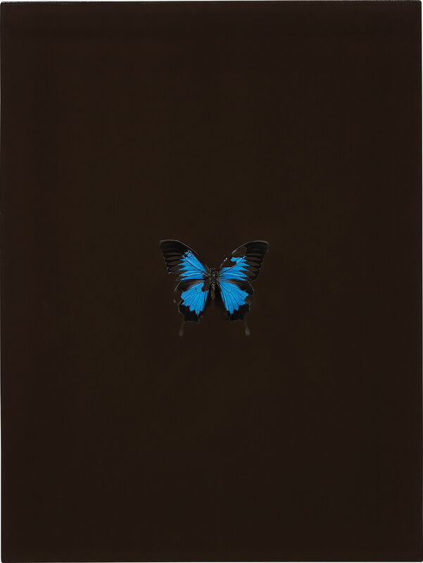 Damien Hirst, ‘Love Sick’, 2008, Painting, Butterfly and household gloss on canvas, Phillips