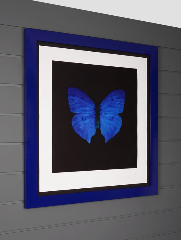 Damien Hirst, ‘Blue Butterfly, Etching ’, 2008, Print, Etching on Velin Arches Paper, Arton Contemporary