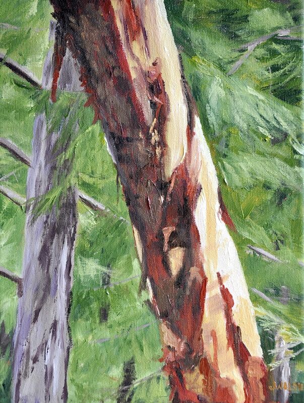 Jody Waldie, ‘Arbutus’, 2021, Painting, Oil on canvas, Terrill Welch Gallery