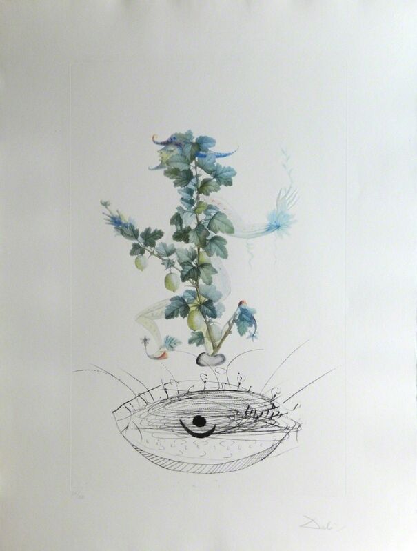 Salvador Dalí, ‘FlorDali/Les Fruits Gooseberry’, 1969, Print, Etching, Fine Art Acquisitions Dali 