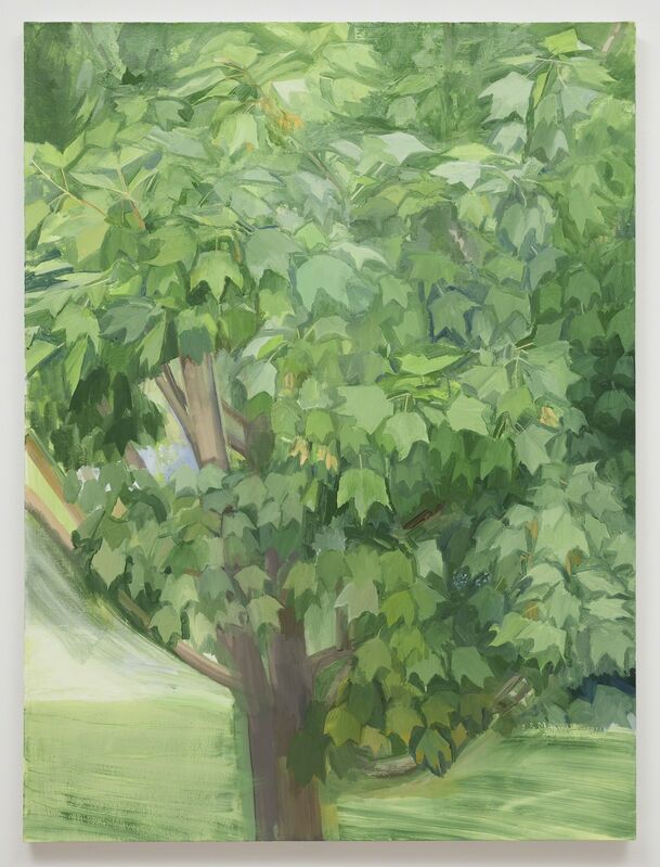 Sylvia Plimack Mangold, ‘Summer Maple 2013’, 2013, Painting, Oil on linen, Alexander and Bonin