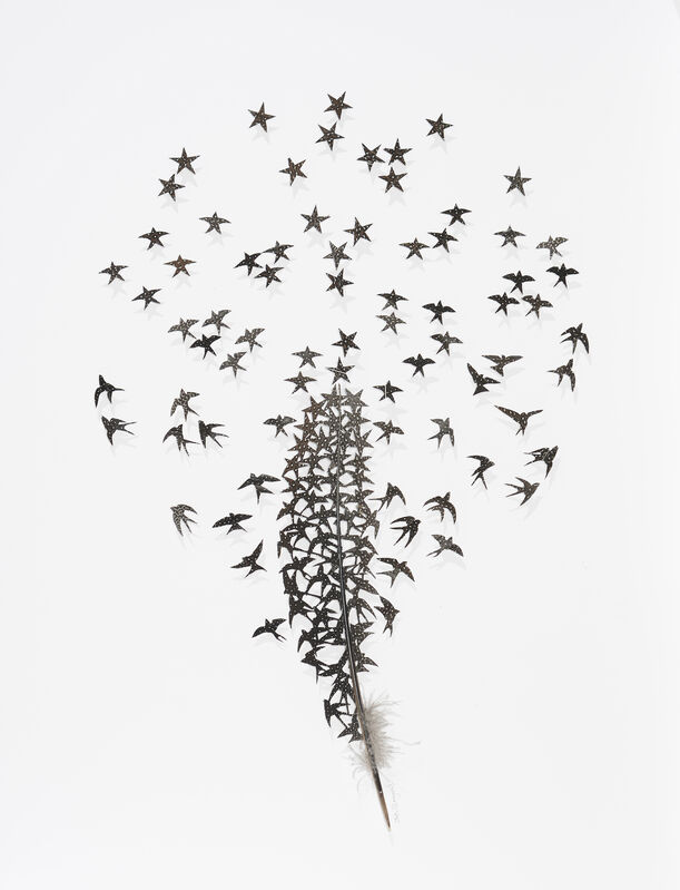 Chris Maynard, ‘How Stars are made’, 2020, Drawing, Collage or other Work on Paper, Turkey feathers on paper, Muriel Guépin Gallery