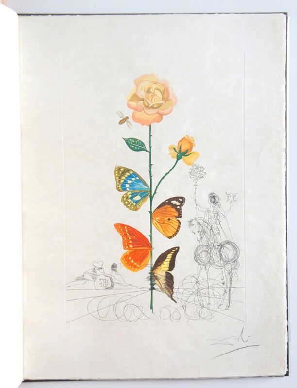 Salvador Dalí, ‘Flordali (Flora Dalinae) (Michler & Löpsinger 227-236)’, 1968, Print, Rare complete portfolio, Forum Auctions