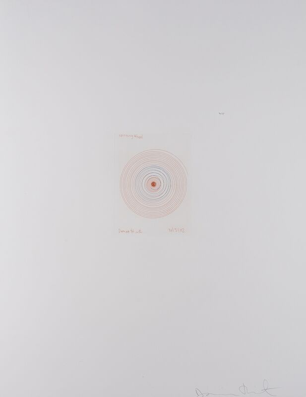 Damien Hirst, ‘Spinning Wheel (from In a Spin, The Action of the World on Things I)’, 2002, Print, Etching printed in colours, Forum Auctions