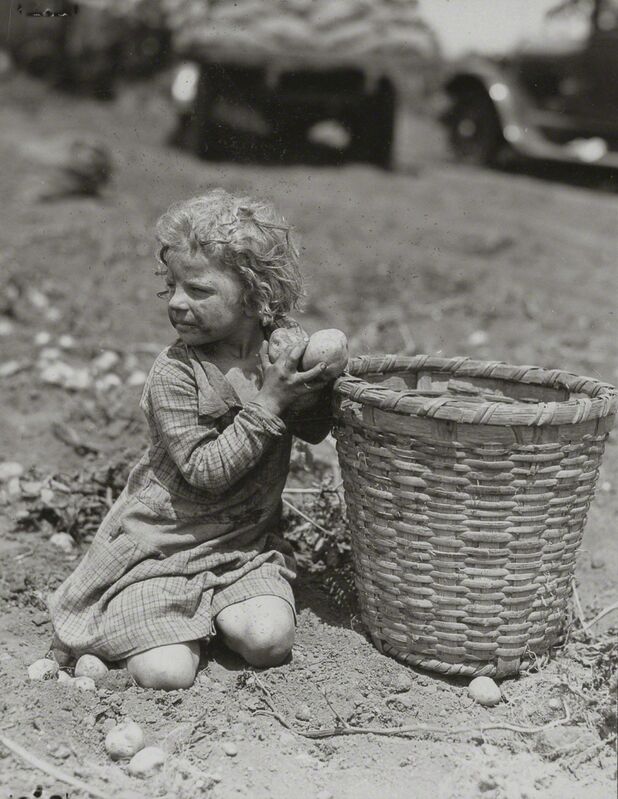 Lewis Wickes Hine, ‘Child Picking Long Island Potatoes’, ca. 1912, Photography, Gelatin silver print, Robert Klein Gallery
