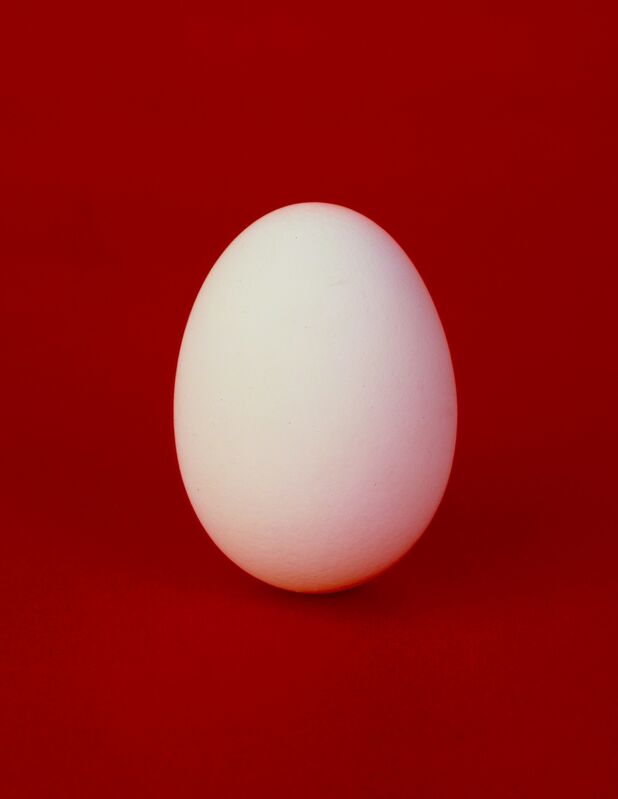 Neil Winokur, ‘Egg’, 1992, Photography, Fujiflex Crystal Archive Print, Janet Borden, Inc.