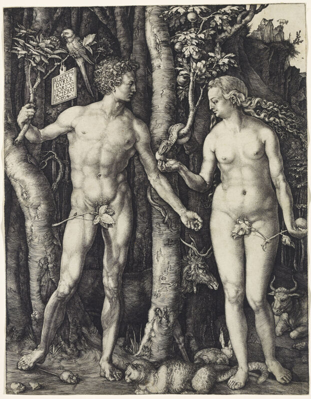 Albrecht Dürer, ‘Adam and Eve’, 1504, Engraving on laid paper, Art Gallery of Ontario (AGO)