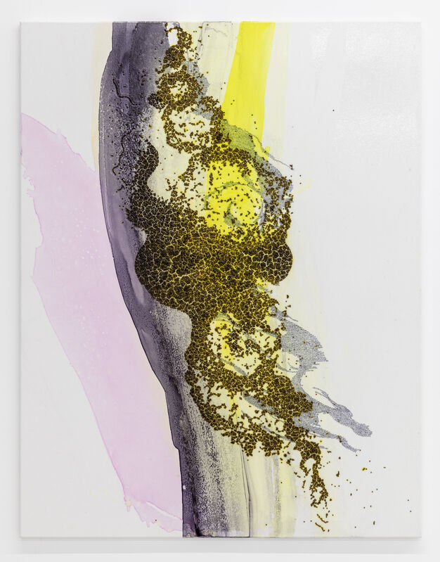 Georg Herold, ‘Untitled’, 2020, Painting, Caviar, acrylic, lacquer on canvas, Cassina Projects