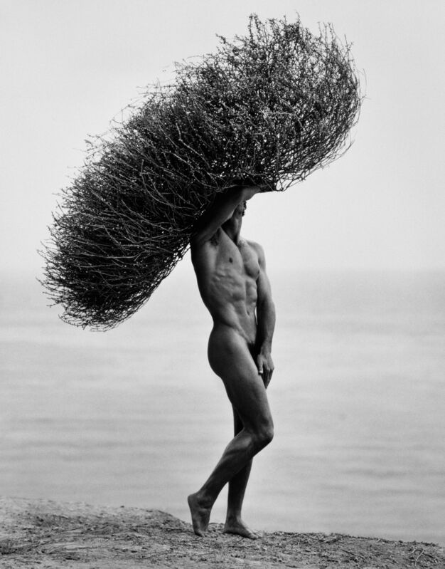 Herb Ritts, ‘Male Nude with Tumbleweed, Paradise Cove’, 1986, Photography, Platinum Palladium Photograph, Fahey/Klein Gallery