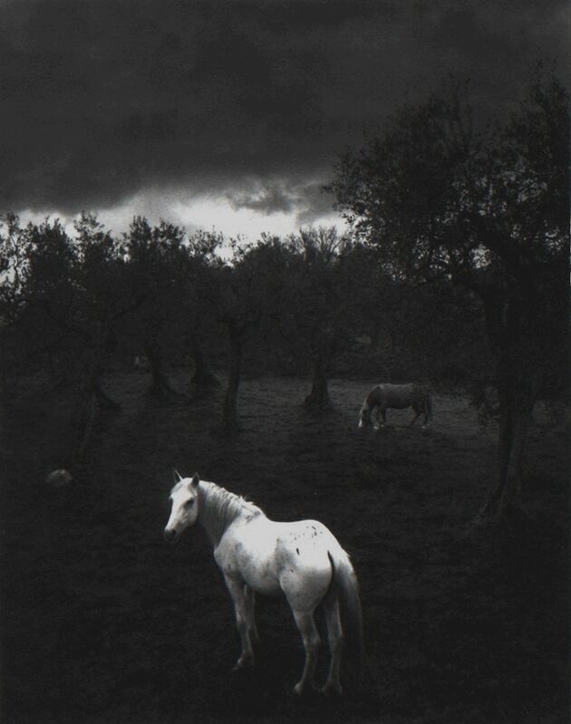 Pentti Sammallahti, ‘Cliento, Italy’, 2000, Photography, Gelatin silver print, CLAMP