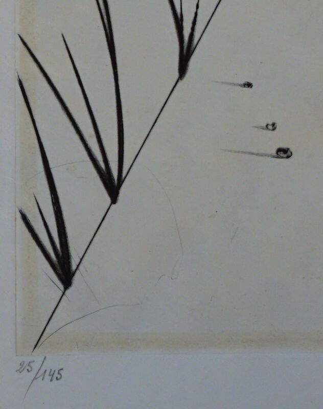 Salvador Dalí, ‘La Venus aux Fourrures The Lane of The Birches’, 1968, Print, Etching, Fine Art Acquisitions Dali 