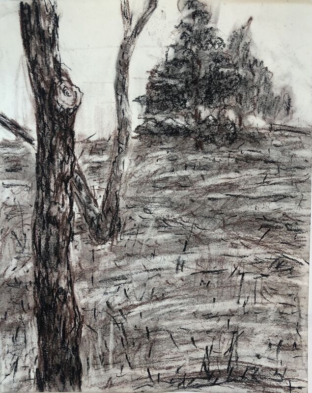 Anne Delaney, ‘Three Trees on a Hill’, 2021, Drawing, Collage or other Work on Paper, Charcoal on paper, Bowery Gallery