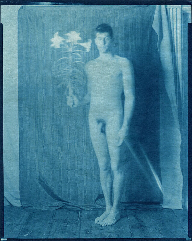 John Dugdale, ‘Self Portrait with Madonna Lily’, 1992, Photography, Cyanotype, ClampArt