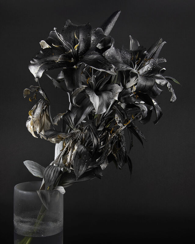 Stephanie Syjuco, ‘Blackout (Krylon ColorMaster Gloss Black on White Oriental Lilies Sprayed Gloss White)’, 2019, Photography, Pigmented inkjet print, Catharine Clark Gallery