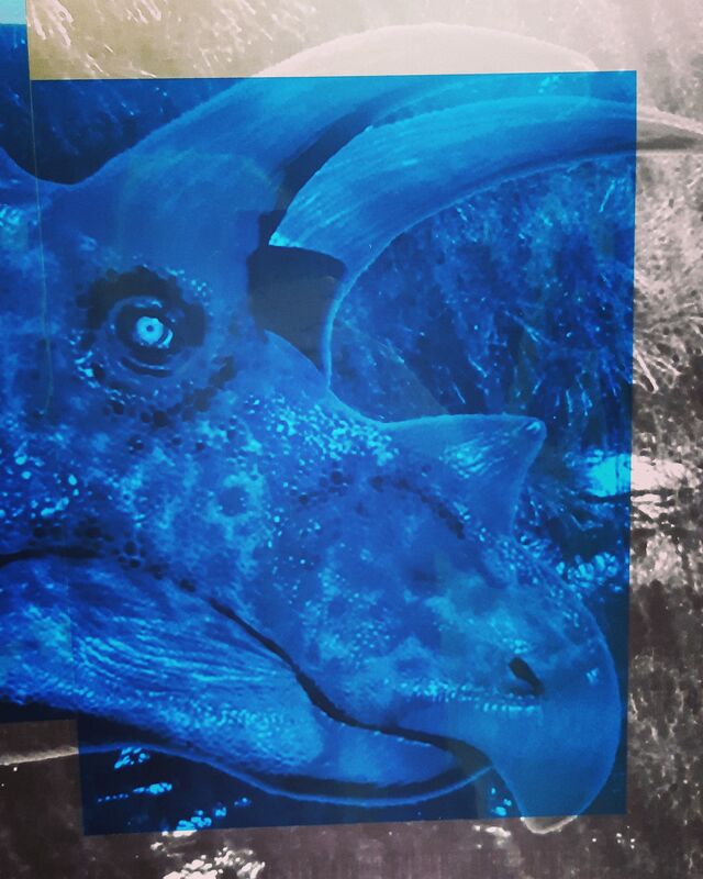 Oscar Figueroa, ‘Blue Triceratops’, 2020, Photography, Inkjet print, blue acetate, Robert Kananaj Gallery
