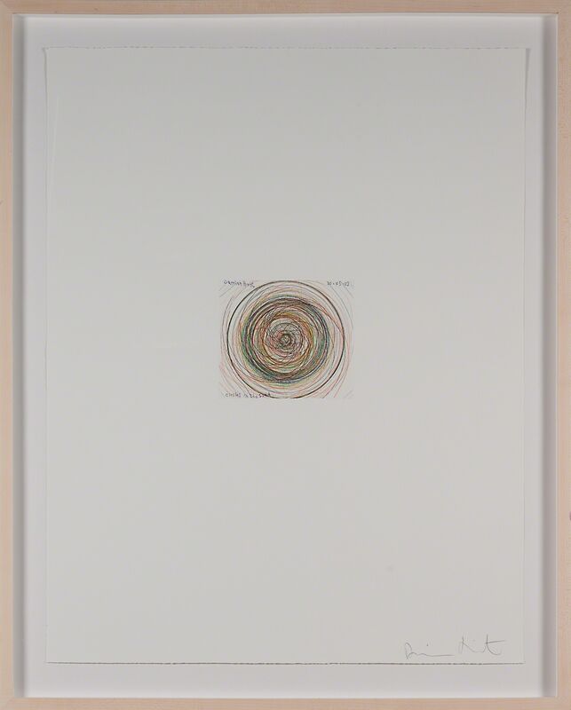 Damien Hirst, ‘Circles in the Sand from: In a Spin, The Action of the World on Things Vol. I’, 2002, Print, Etching in colors (framed), Rago/Wright/LAMA