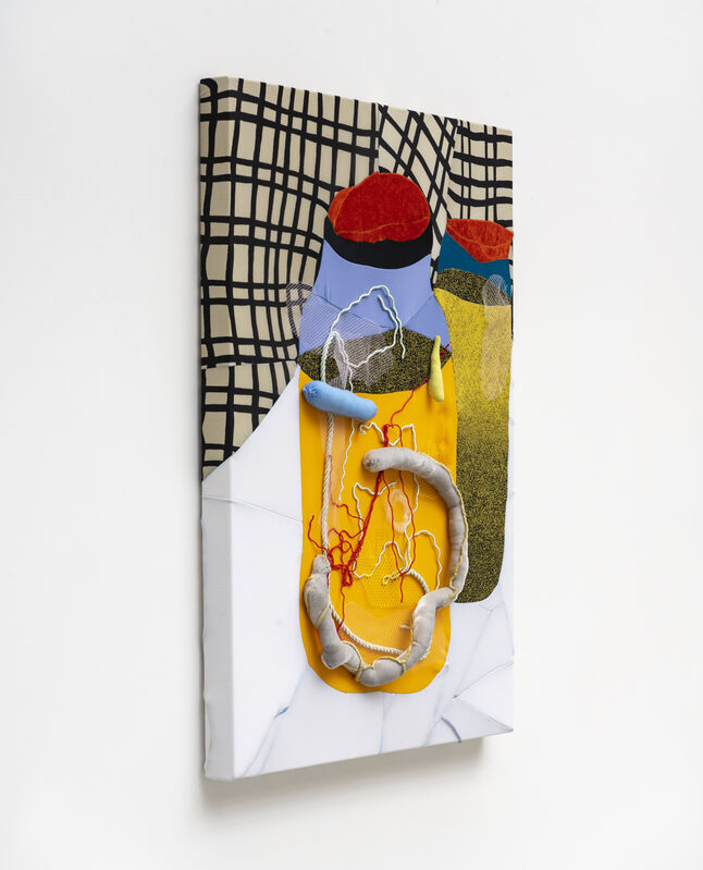 Yuli Yamagata, ‘Something in a Jar’, 2021, Mixed Media, Elastane, velvet, net, silk rope, sewing thread and silicon fiber, Fortes D'Aloia & Gabriel