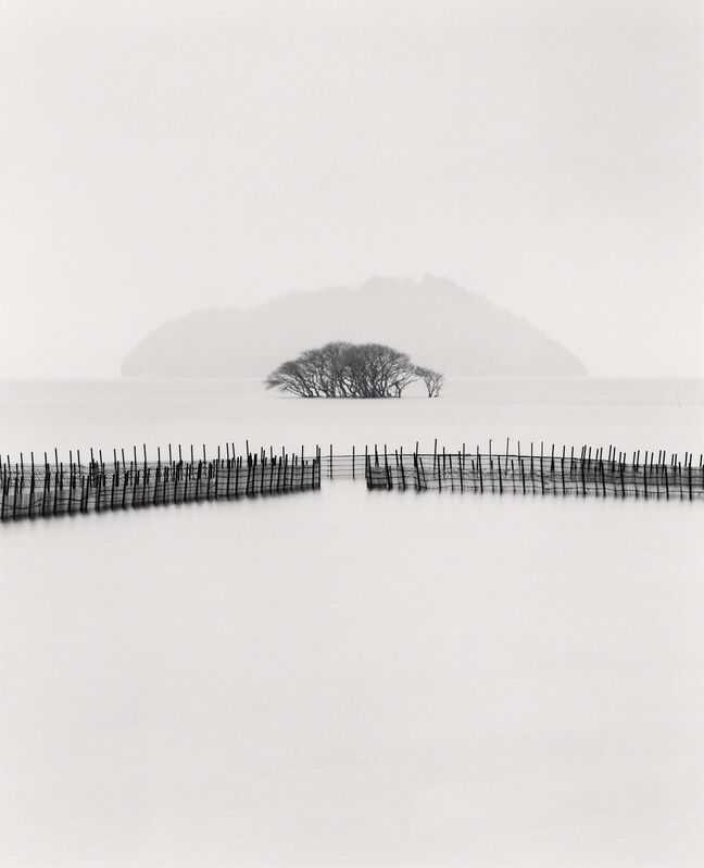 Michael Kenna, ‘Submerged Trees, Kohoku, Honshu, Japan’, 2002, Photography, Gelatin silver print, G. Gibson Gallery