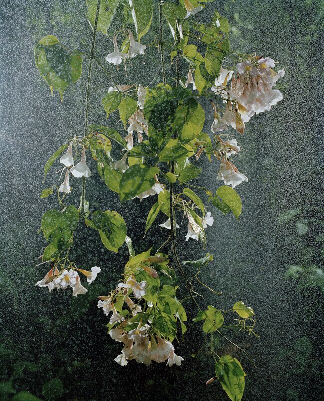 Sanna Kannisto, ‘Transient rain’, 2010, Photography, C-print, framed, Helsinki Contemporary