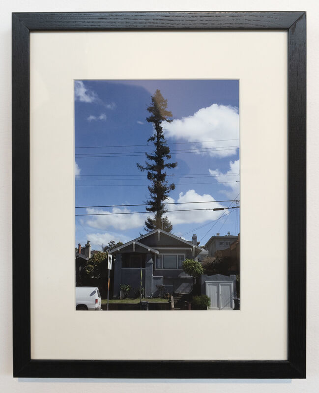 Alice Shaw, ‘Untitled (Tall Tree)’, 2018, Photography, Pigment print, Gallery 16