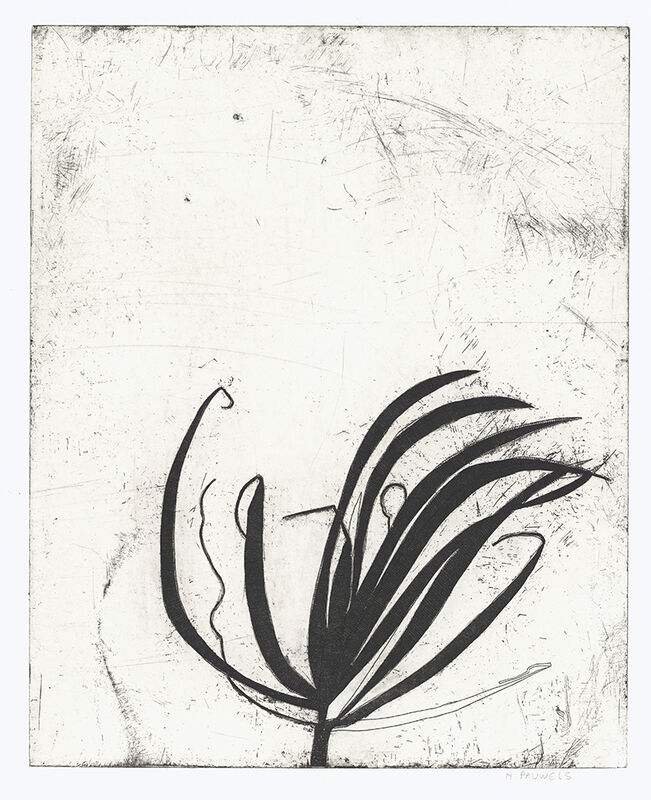 Nora Pauwels, ‘Marie's Plant’, 2018, Print, Etching, Kala Art Institute