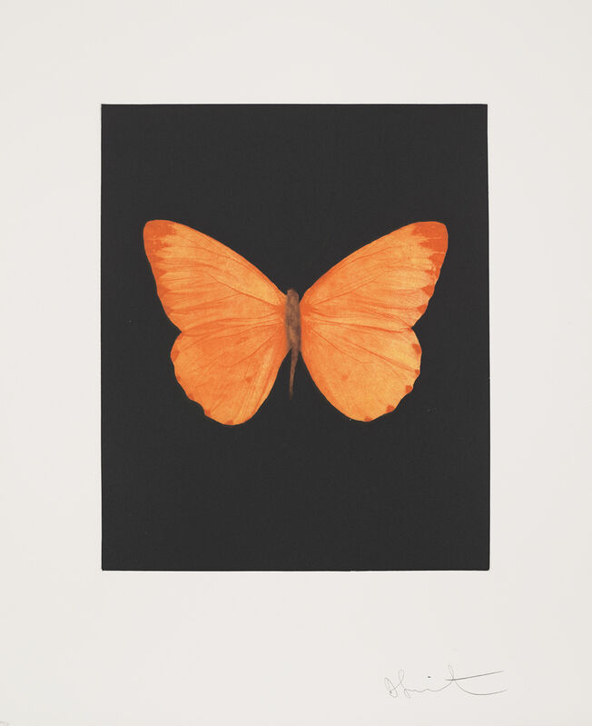 Damien Hirst, ‘Hope, from Butterfly Etchings’, 2009, Print, Etching and aquatint in colours, on wove paper, with full margins., Phillips