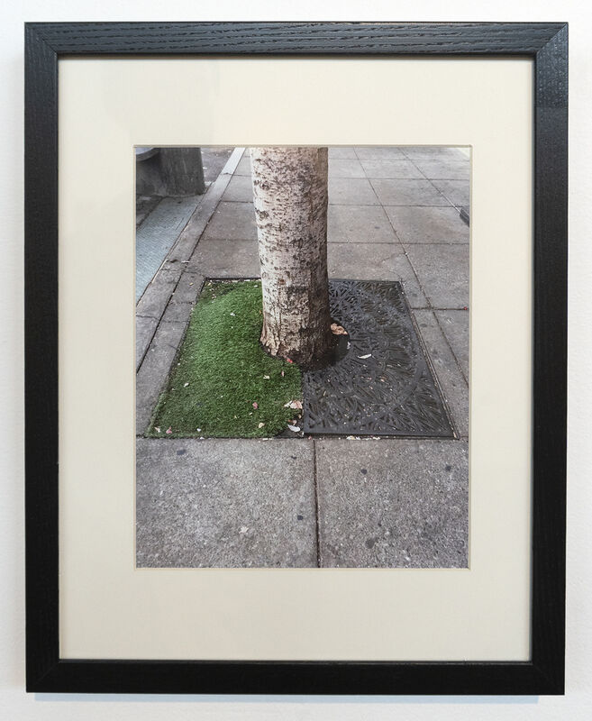 Alice Shaw, ‘Untitled (Sidewalk Grass)’, 2018, Photography, Pigment print, Gallery 16