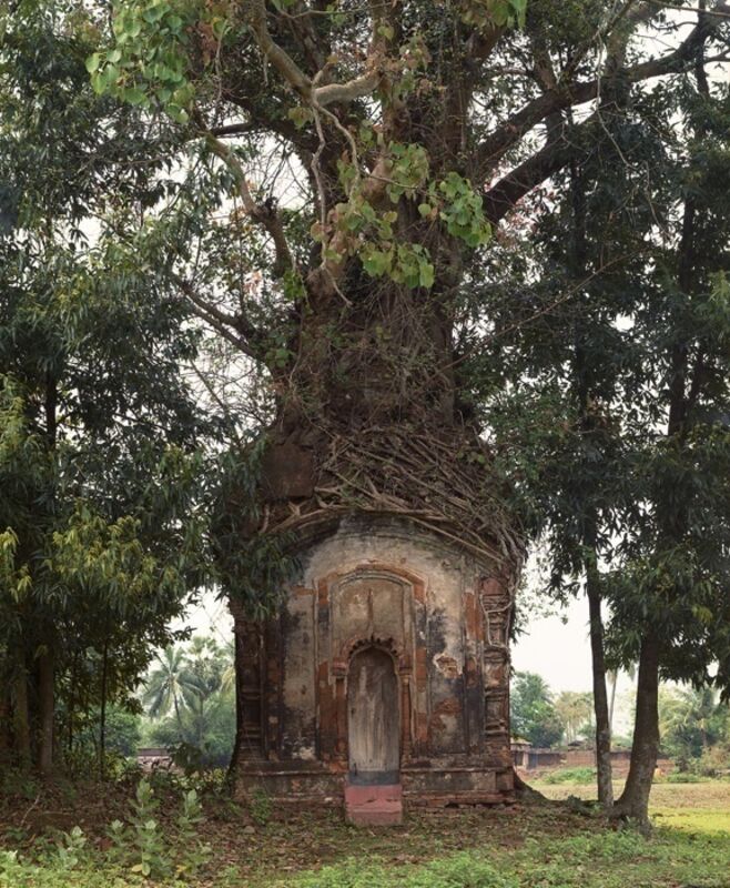 Laura McPhee, ‘Banyan Tree and 16th Century Terracotta Temple, Attpur, West Bengal, India’, 1998, Photography, Archival pigment ink print, Benrubi Gallery