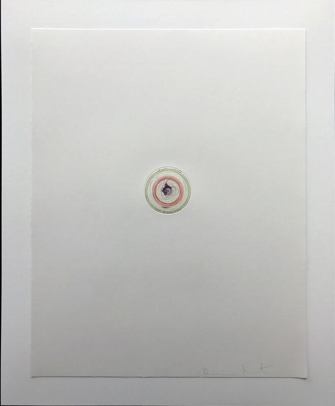 Damien Hirst, ‘Ring-a-ring of Roses ’, 2002, Print, Etching on 350gsm Hahnmuhle paper, DTR Modern Galleries