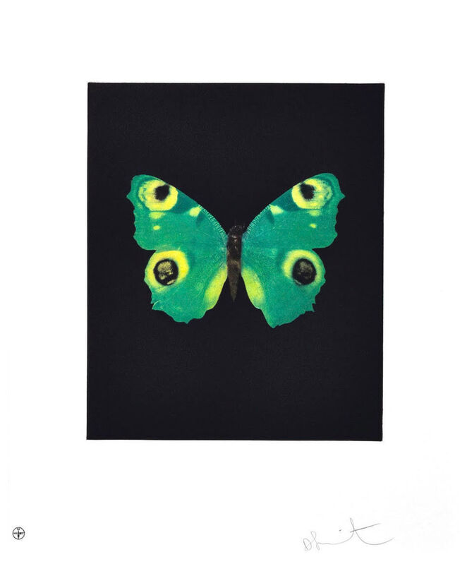 Damien Hirst, ‘Fate (Green Butterfly)’, 2009, Print, Etching, Oliver Clatworthy Gallery Auction
