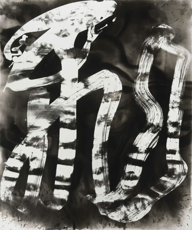 Wang Dongling 王冬龄, ‘Flying’, 2013, Photography, Silver Gelatin Print, Ink Studio