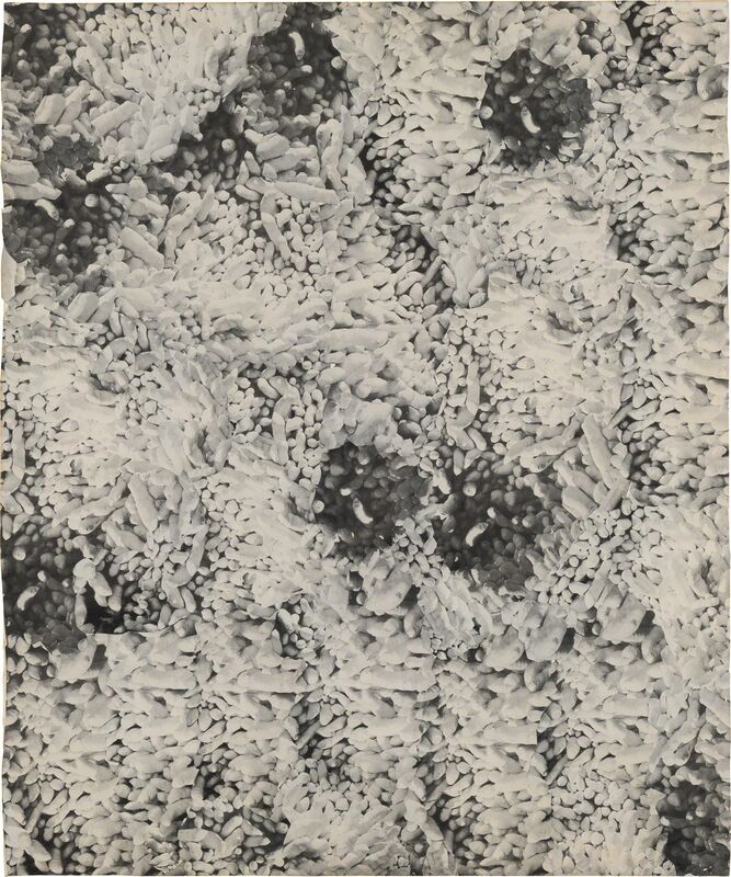 Yayoi Kusama, ‘Accretion (No. 1)’, 1964, Drawing, Collage or other Work on Paper, Photo and paper collage mounted on paper, Phillips