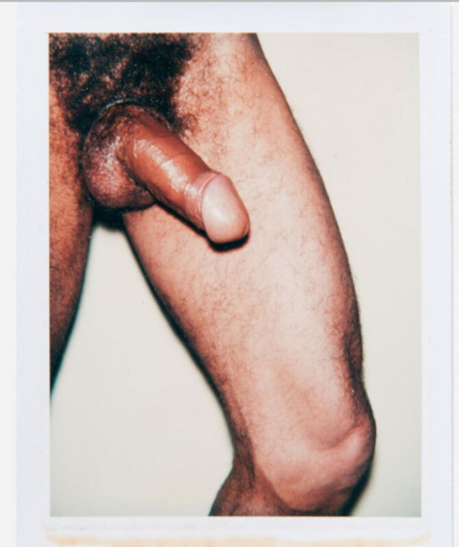Andy Warhol, ‘Polaroid Photograph from the 'Sex Parts and Torsos' Series’, 1977, Photography, Polaroid, Hedges Projects