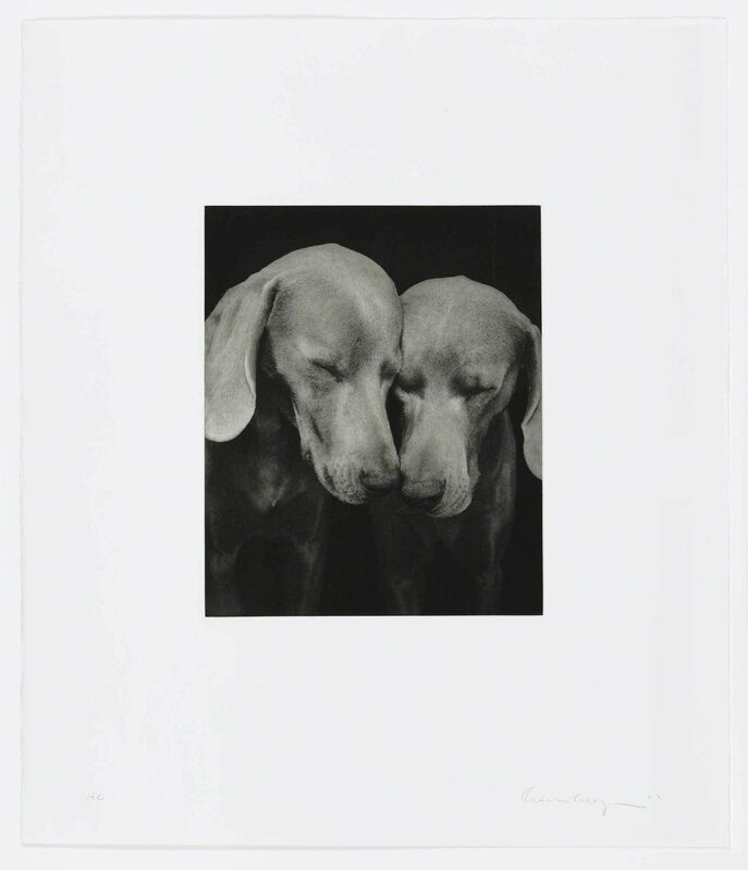 William Wegman, ‘Reflectional’, 2002, Print, Photogravure, Graphicstudio USF