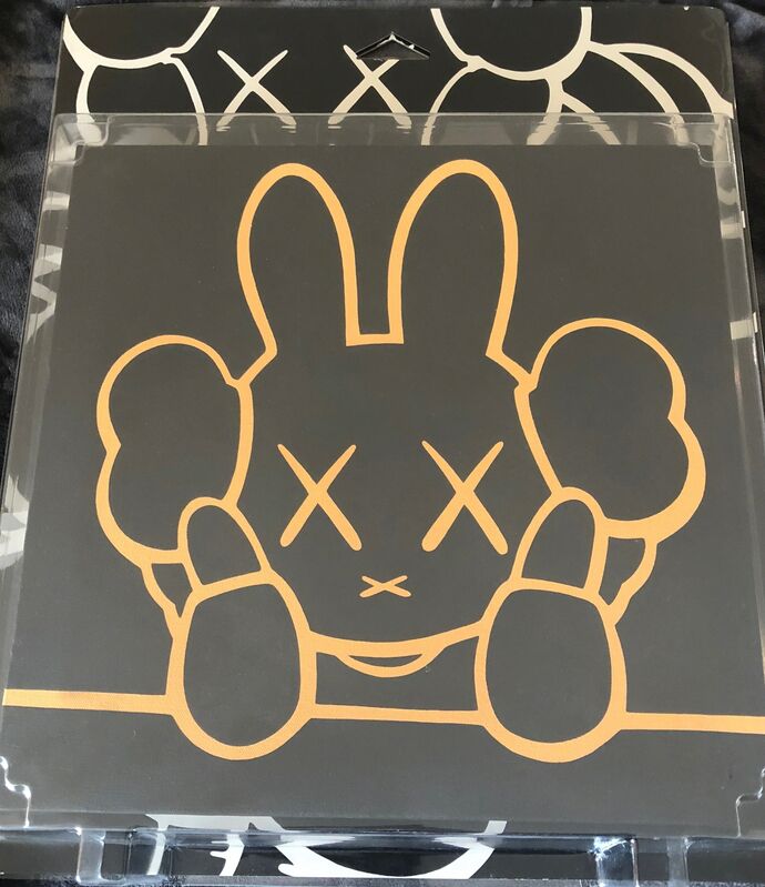 KAWS, ‘Miffy Package Painting’, 2002, Painting, Acrylic on canvas, Remes Advisory