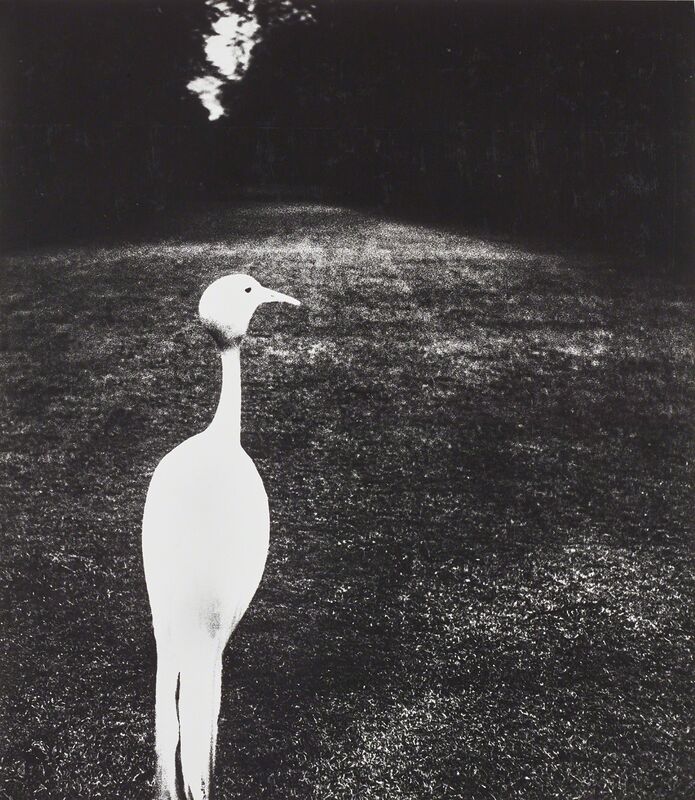 Bill Brandt, ‘Evening in Kew Gardens’, 1932-1935, Photography, Gelatin silver print, printed 1979-1980, mounted., Phillips