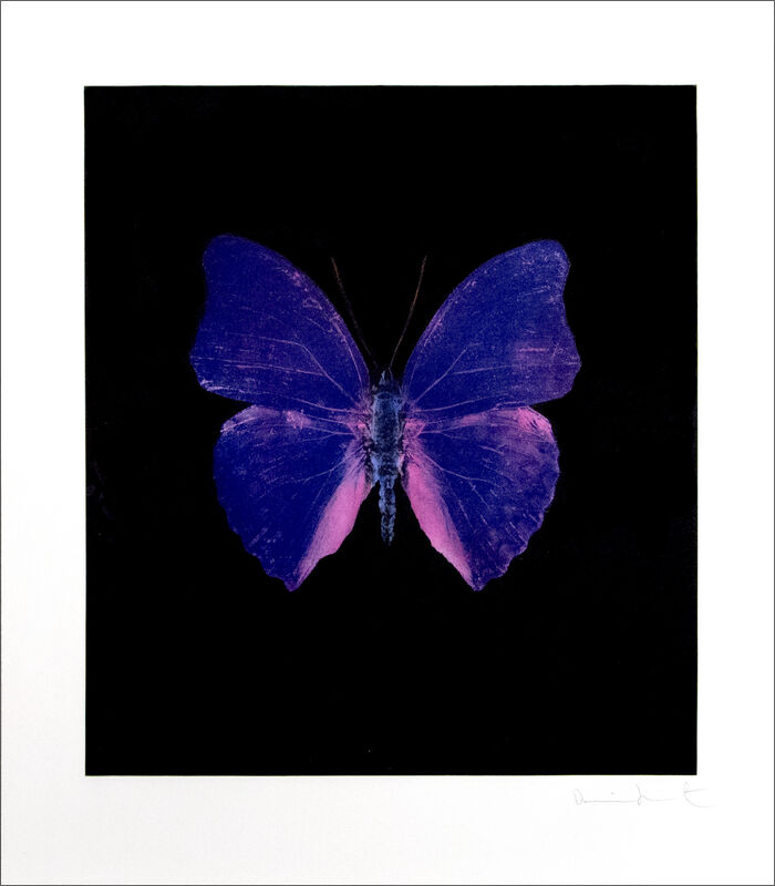 Damien Hirst, ‘The Souls on Jacob's Ladder Take Their Flight’, 2007, Print, Color photogravure etching, Heather James Fine Art Gallery Auction