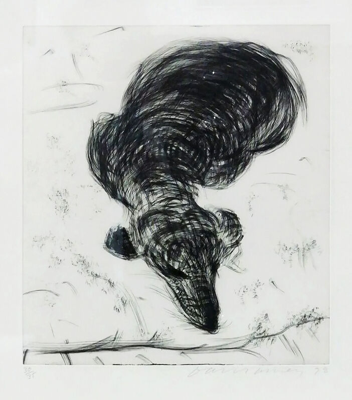 David Hockney, ‘Dog Wall Number 7’, 1998, Print, Etching on Somerset White wove paper, Tate Ward Auctions