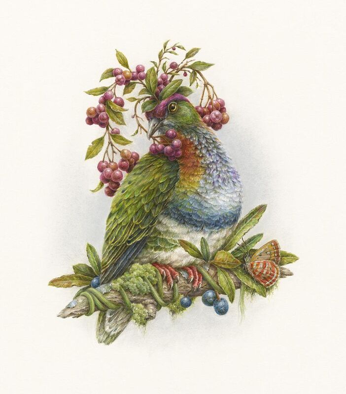 Courtney Brims, ‘Superb Fruit Dove’, 2018, Drawing, Collage or other Work on Paper, Coloured pencils on Arches watercolour paper, Beinart Gallery