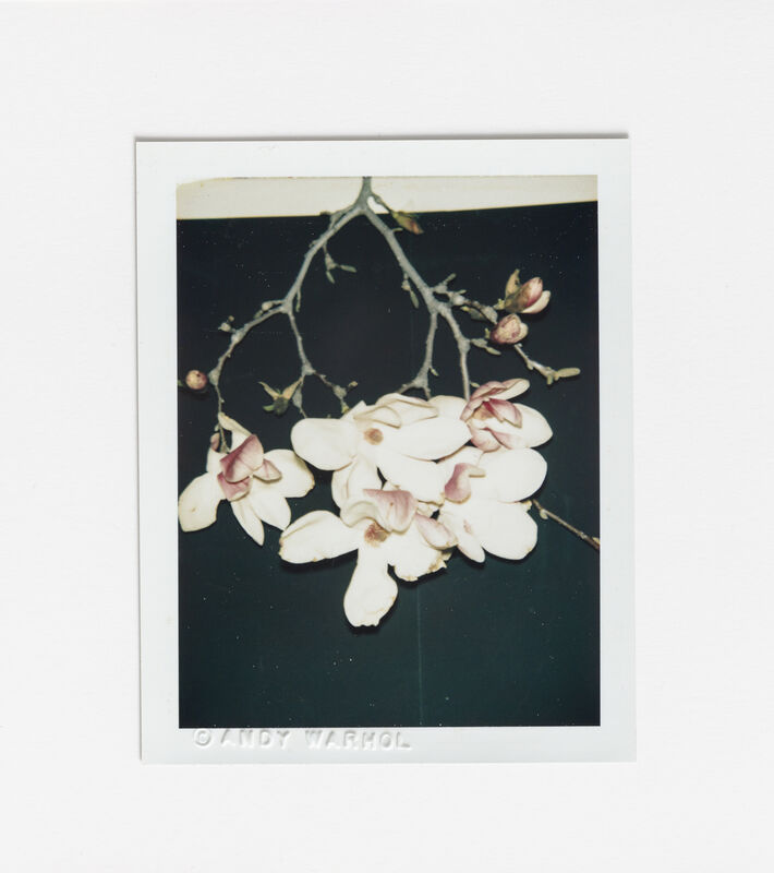 Andy Warhol, ‘Flowers’, 1980, Photography, Polaroid; Polacolour R 274, Hedges Projects